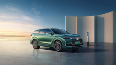 �Ź���̸�ݺ�Ʒ�ƣ��й�ԽҰ���ݺ����磡